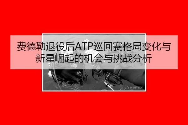 fei-de-lei-tui-yi-hou-xun-hui-sai-ge-ju-bian-hua-yu-xin-xing-jue-qi-de-ji-hui-yu-tiao-zhan-fen-xi-2-488.jpg