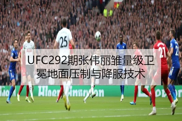UFC292期张伟丽雏量级卫冕地面压制与降服技术